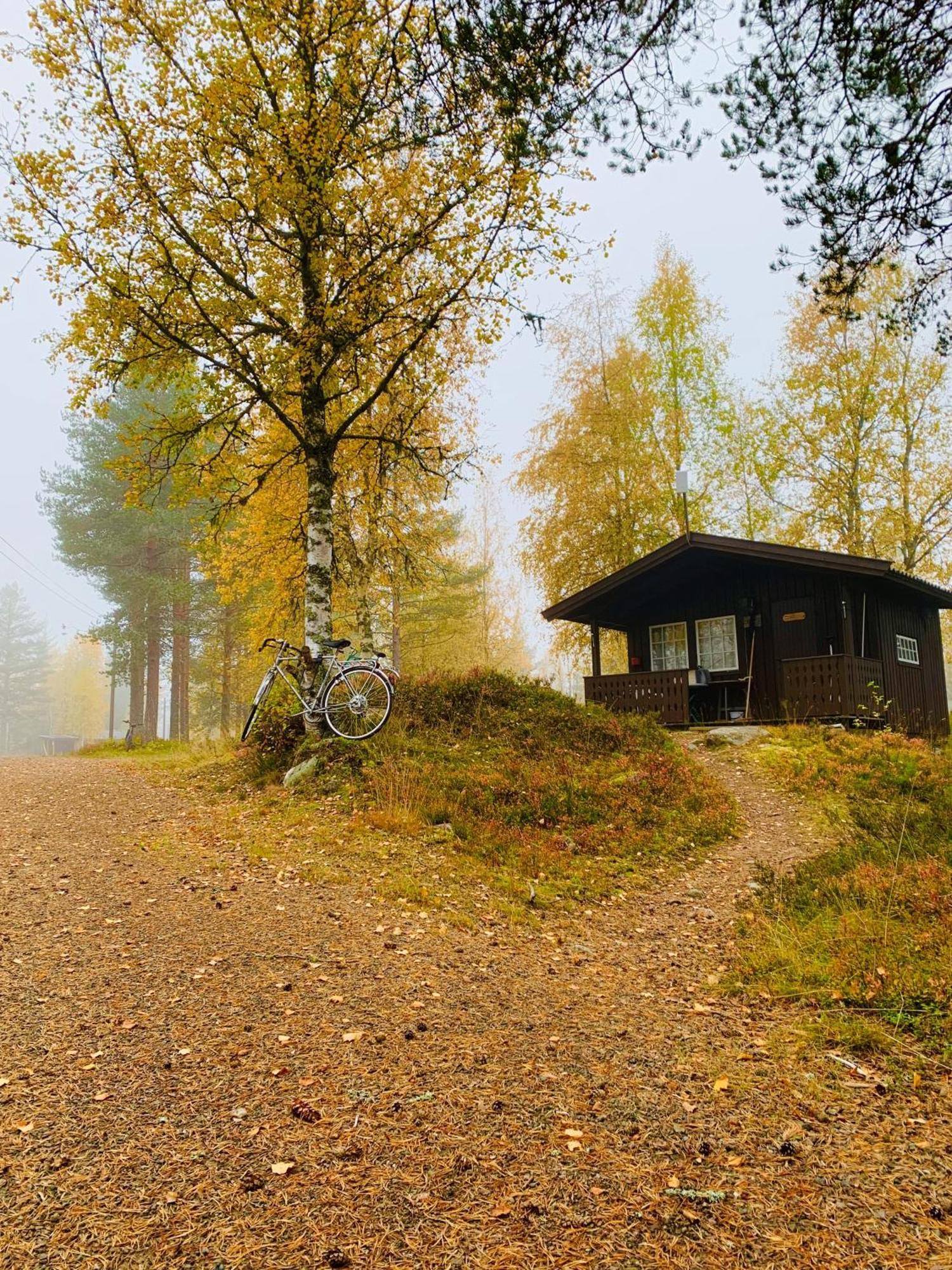 Saeterasen Hytter & Camping Trysil Exteriér fotografie