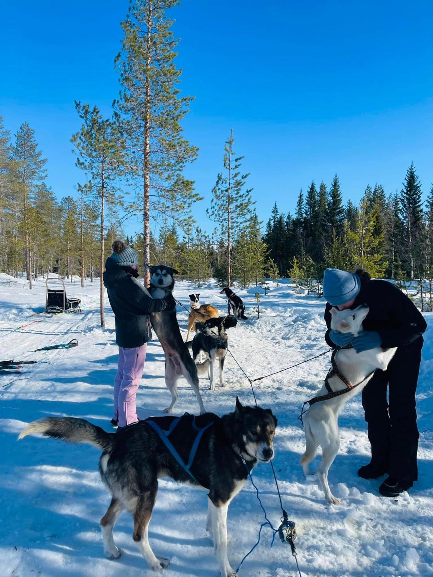 Saeterasen Hytter & Camping Trysil Exteriér fotografie