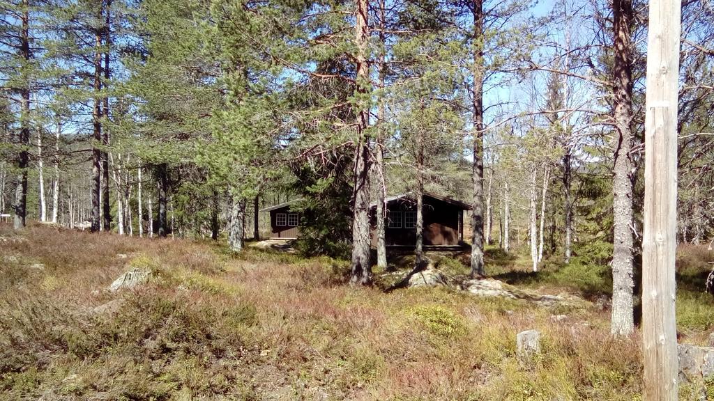 Saeterasen Hytter & Camping Trysil Exteriér fotografie