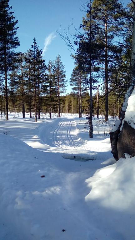 Saeterasen Hytter & Camping Trysil Exteriér fotografie