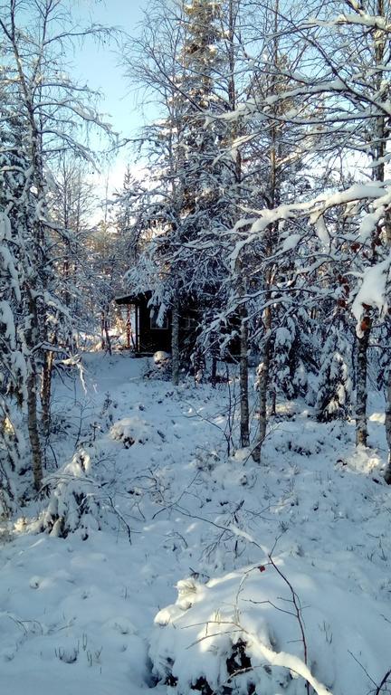 Saeterasen Hytter & Camping Trysil Exteriér fotografie